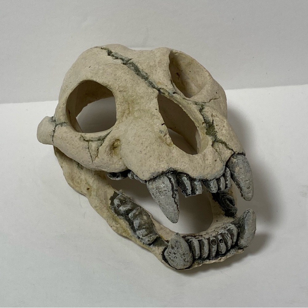 Aquarium Skull decor faux skull animal oddities oddity faux taxidermy
